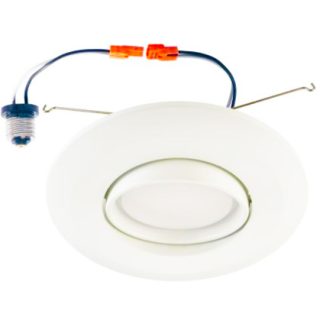 5/6" Dimmable Swivel LED Downlight