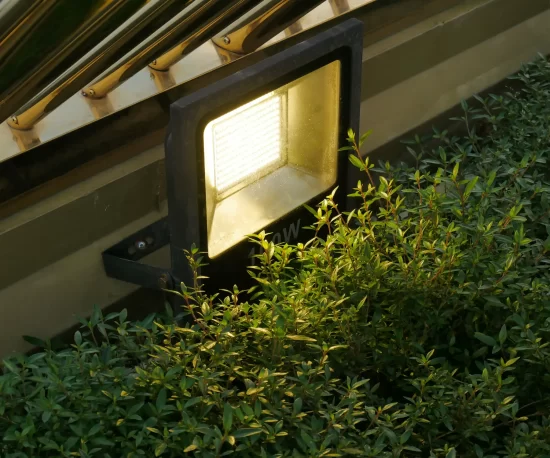 LED Flood Lights - Landscape Lighting